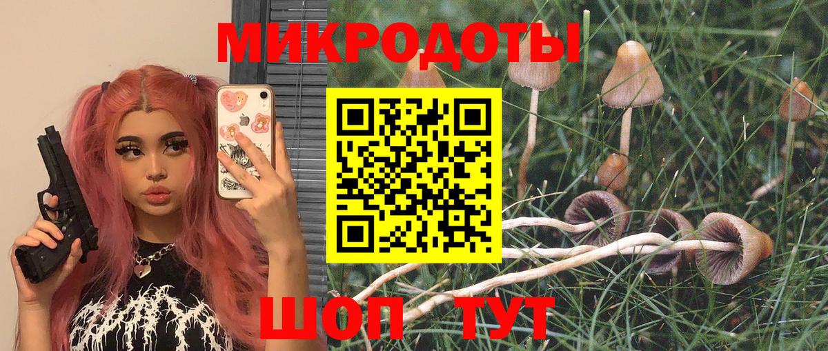 Галлюциногенные грибы Psilocybe  Галлюциногенные грибы Cubensis  Малоярославец  даркнет сайт  Вход с VPN 