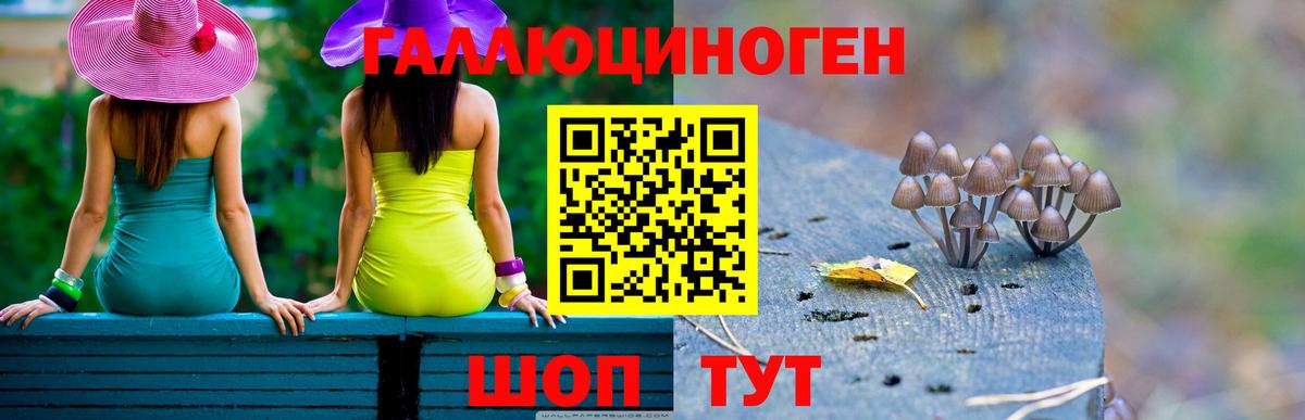 Псилоцибиновые грибы Magic Shrooms Малоярославец