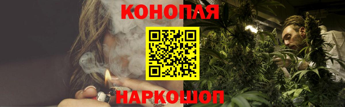 Каннабис OG Kush  Канабис планчик  Малоярославец  Вход с VPN 